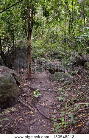 nature walkway in Khao Chamao , Rayong , Thailand