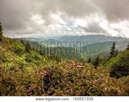 scenes along appalachian trail in smoky mountains north carolina