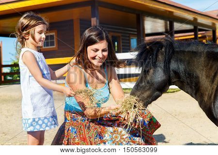 Mother and daughter are fed with straw ponies on the farm.