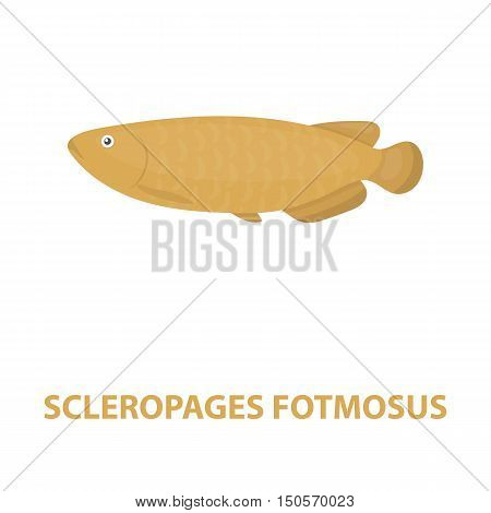 Scleropages fotmosus fish icon cartoon. Singe aquarium fish icon from the sea, ocean life cartoon.