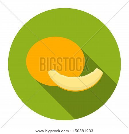 Melon icon cartoon. Singe fruit icon from the food set.