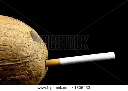Kokos z Cig
