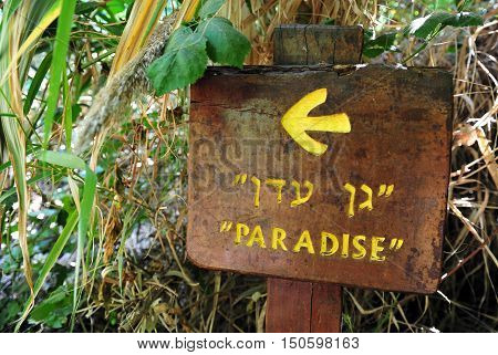 Dan River-israel