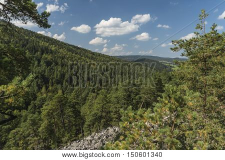Certova Stena Stone Wall In Forest Near Vyssi Brod Village