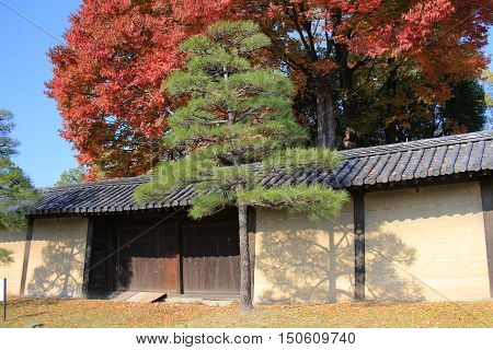 Wooden Architecture Of To-ji Temple In Kyoto