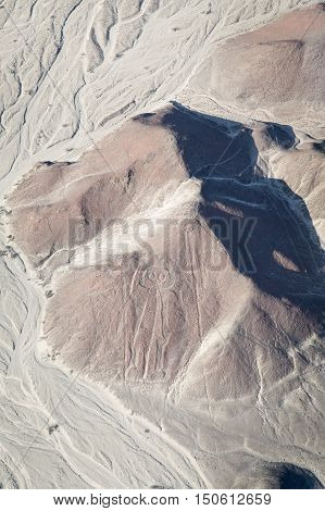 World famous Nazca lines from the Nazca overflight- Astronaut