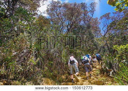 Ranau Sabah-March 12,2016:Climbers seen at Timpohon trail from Laban Rata of Mount Kinabalu.The best time to climb Mt Kinabalu is between March and August,which are the dry seasons of Sabah,Borneo.