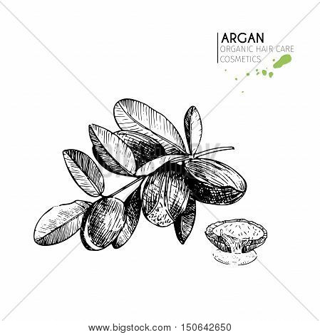 Vector set of hair care ingredients. Organic hand drawn elements. Argan nut with oil branch. Use for cosmetic package shop store products spa salon wellnes program procedure skin hair care