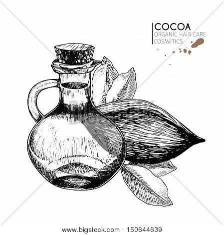 Vector set hair care ingredients. Organic hand drawn elements. Cocoa bean bottle of oil. leaves. For cosmetic package shop store products spa salon wellnes program procedure skin hair care