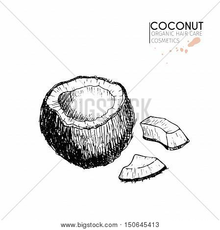 Vector set of hair care ingredients. Organic hand drawn elements. Coconut and slices. Use for cosmetic package shop store products spa salon wellnes program procedure skin hair care