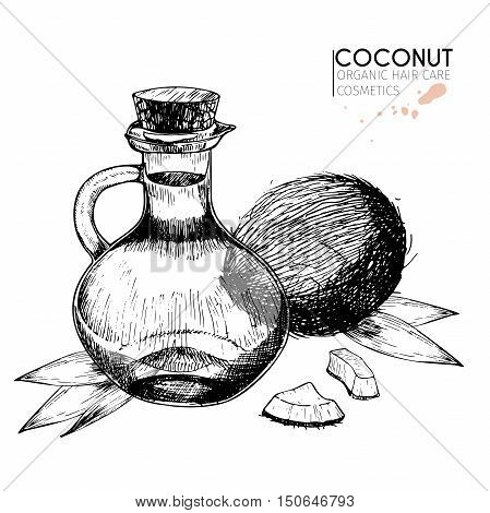 Vector set of hair care ingredients. Organic hand drawn elements. Coconut leavesbottle oil. Use for cosmetic package shop store products spa salon wellnes program procedure skin hair care