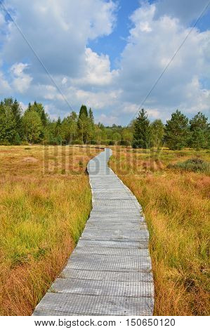 Wood Path Through The Peat Bog