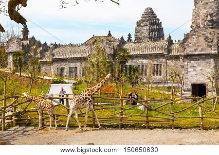 Pairi Daiza, Belgium - April 11, 2016: Giraffe in the zoo Pairi Daiza and people around
