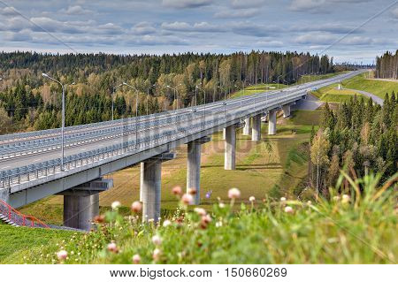 Steel girder bridge on reinforced concrete pillars four-lane highway crosses the Russian forest sunny summer day.