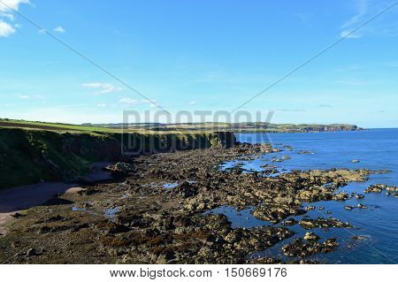A scenic coastal image from Berwickshire in south east Scotland.