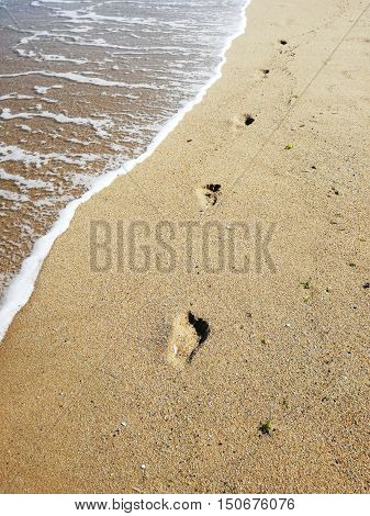 Staps on the wet sand - copy space