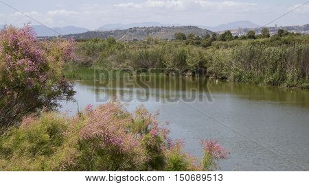 QUARTU S..E: overview of saline in the Molentargius Regional Park - Sardinia
