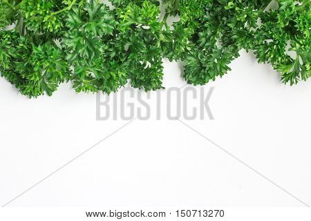 Fresh Parsley Frame isolated in white background