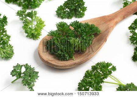 Parsley into a spoon isolated in white background