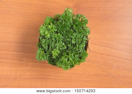 Parsley into a bowl over a wooden table