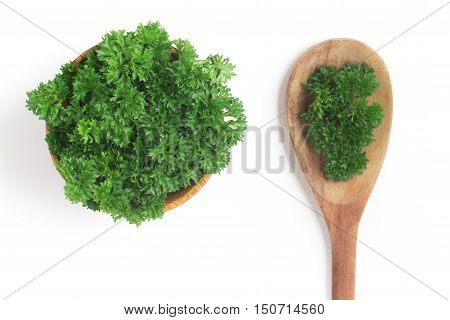 Parsley into a bowl isolated in white background