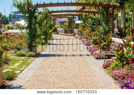 Flower garden in Balatonfured at Lake Balaton Hungary.