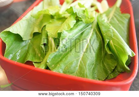 brassica campestris or chinese mustard green vegetable