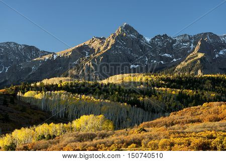Early morning autumn colors at Mt. Sneffels in the San Juan Mountains of Southwest Colorado