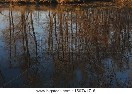 landscape, nature, reflections, river, trees, mirror, flora, species, fall seasons