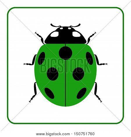 Ladybug small icon. Green lady bug sign isolated on white background. Wildlife animal design. Cute colorful ladybird. Insect cartoon beetle. Symbol of nature spring or summer. Vector illustration