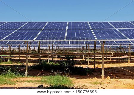 Large Scale Solar PV Power Plant front view