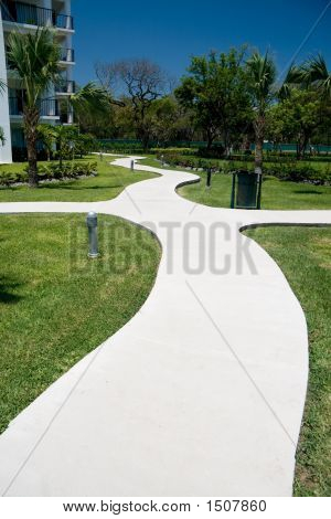 曲线路径