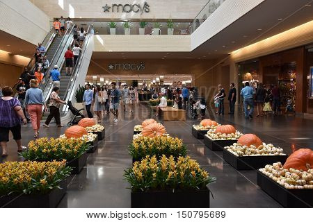 DALLAS, TX - SEP 17: Halloween decor at NorthPark Center in Dallas, Texas, as seen on Sep 17, 2016. The center has over 235 stores and is the first shopping center featured on Vogue Magazine.