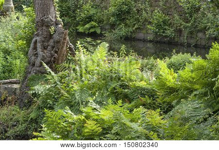 Around Aven River At Pont-aven In Brittany