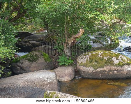 Aven River At Pont-aven In Brittany