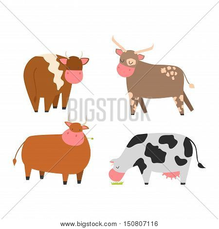 Milk cow bull with calf bull buffalo. Different cow dairy farm beef, nature domestic farm animal. Cartoon cow action , with cute lovely heifer vector.