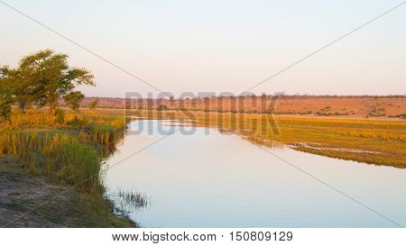 Chobe River Landscape, View From Caprivi Strip On Namibia Botswana Border, Africa. Chobe National Pa