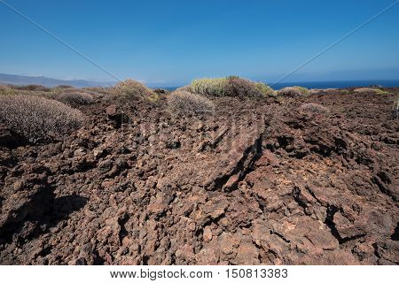 Malpais de Guimar badlands volcanic landscape in Tenerife Canary island Spain.