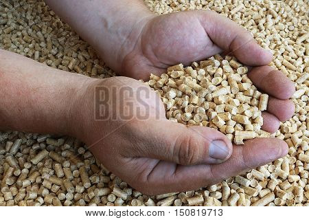 Wood pellets in men hands. Biofuels. The cat litter.