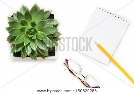 Flat lay top view office table desk. workspace with succulent cactus notebook on white background.