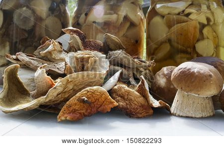 Mushrooms, jam, dried mushrooms and boletus pickled in a jar on light table.