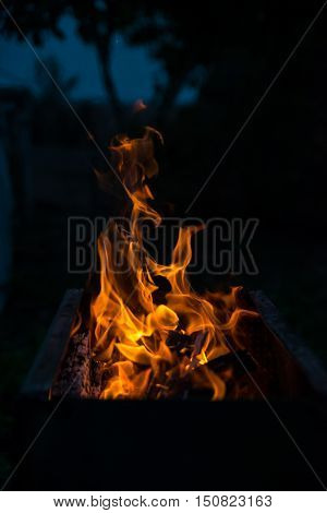 Fire flames bonfire at night on black background