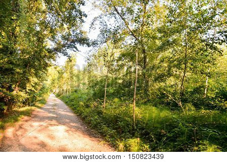Countryside Desert Dirt Path