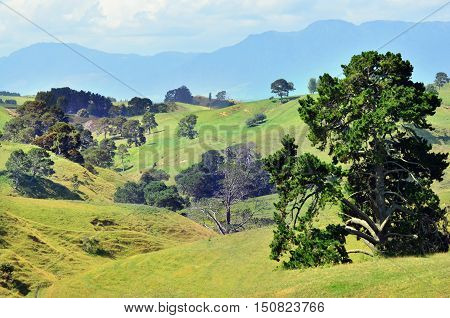 Hobbiton-movieset-farm-lord-of-the-rings-the-hobbits-matamata