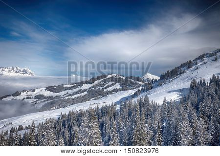 Trees Covered By Fresh Snow In Austria Alps From Kitzbuehel Ski Resort - One Of The Best Ski Resort