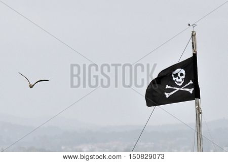 Jolly Roger - Flag of a Pirate skull and crossbones.