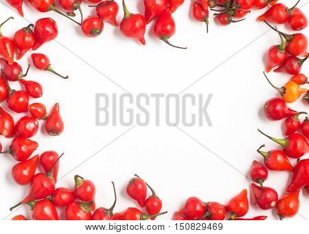Biquinho Pepper frame. Capsicum Chinense isolated in white background