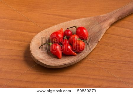Biquinho Pepper into a spoon. Capsicum Chinense over a wooden table
