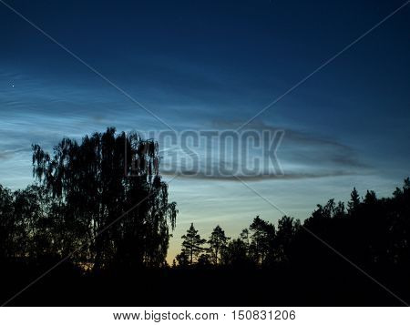 early sunrise over the forest with night sky