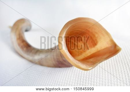 Shofar (horn) Over White Background